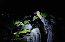 Rain Forest Nocturnal Experience Frogs and Snakes Quest