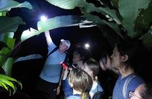 Rain Forest Nocturnal Experience Frogs and Snakes Quest