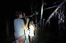 Rain Forest Nocturnal Experience Frogs and Snakes Quest