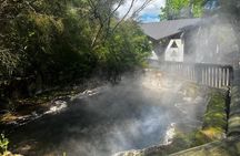 Tauranga Shore Excursion: Rotorua Highlights Tour