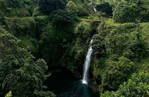 Maui’s Sea Turtles, Waterfalls and Road to Hana Adventure