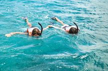 Venture Wildlife Snorkel Charter from Ko Olina