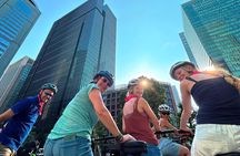 Tokyo 3h: Off the beaten path Ebike tour with knowledgeable guide