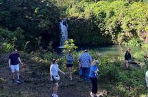 Halfway Road to Hana - Small Group — Taste of Hana & Waterfalls
