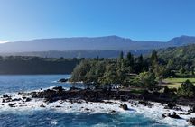 Maui’s Sea Turtles, Waterfalls and Road to Hana Adventure