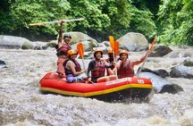 Bali White Water Rafting - Infinity