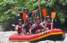 Bali White Water Rafting - Surya Bintang