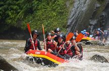 Bali White Water Rafting - Surya Bintang