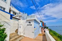 Cruise Layover to Busan City Private Car Day Tour 