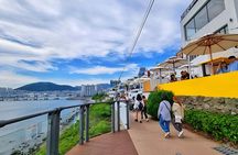 Cruise Layover to Busan City Private Car Day Tour 