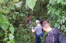 Quashie River Hiking in Cockpit Country Experience
