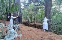 Explore the wild side of Kirstenbosch Gardens
