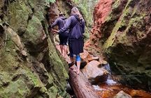 Explore the wild side of Kirstenbosch Gardens