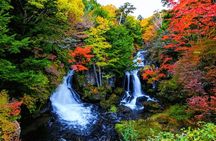 Nikko Private Day Trip with English Speaking Driver From Tokyo