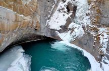 Banff Wildlife Explore and Johnston Canyon Hiking Tour