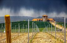 1-Day tour to Aragatsotn Wine region and Wine Route. 