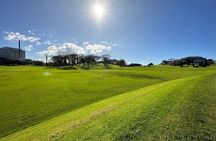 Go Guided Auckland City Tour (4 - 11 People)