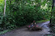 La Fortuna Off-Road ATV Adventure and Arenal Volcano Views