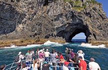 [PRIVATE] Bay of Islands Discovery From Auckland