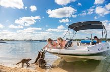 Raccoon Island in a Private Boat Tour