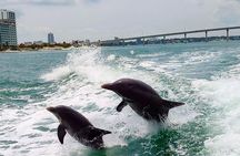 Raccoon Island in a Private Boat Tour