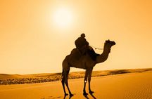 Desert Adventure with Quads, Camels, Moroccan Feast