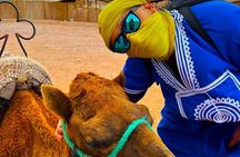 Desert Adventure with Quads, Camels, Moroccan Feast