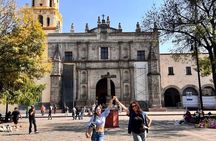 3 in 1 Special Price Museum Frida Khalo Xochimilco and Coyoacan