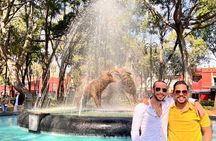 3 in 1 Special Price Museum Frida Khalo Xochimilco and Coyoacan