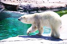 Hokkaido: Asahiyama Zoo, Furano, and Ningle Terrace Full Day Tour