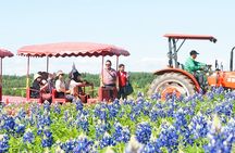 Hokkaido Biei Blue Pond Furano Flower Farm Ningle Terrace Trip