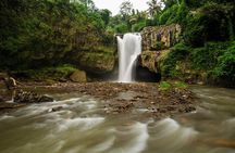 Private Tour Highlights of Ubud