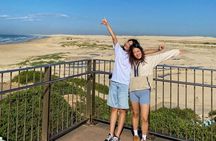 Newcastle: Animal Lovers Tour - Kangaroos, Dolphins & more!