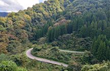 Kutani full-day cycling tour
