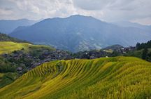 Longji Rice Terraces Hiking Day Tour 