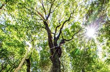 Private Blue Mountains Escape The Crowds Tour