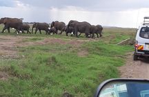 2 Day Amboseli National Park Safari Daily Departures