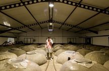 OLIVE OIL & WINE TOUR - Organic Fields 5 Wines + 3 Olive Oils 