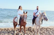Antalya Horse Riding with Hotel Transfer