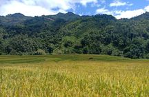 Fansipan Trek One Day – Roof of Indochina