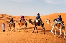 Marrakech to Fez 3 Day Desert Tour with Camel Ride & Luxury Camp
