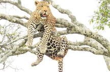 4 Days Masai Mara and lake Nakuru National Park