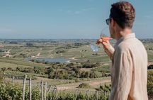 Wine Lovers - Bodega Garzon Experience 