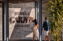 Wine Lovers - Bodega Garzon Experience 