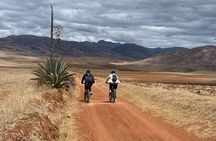 Maras-Moray Mountain Bike:Day tour,Cusco