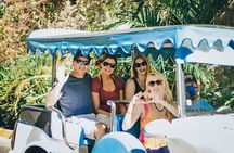 Scenic Tour in Traditional Vehicle Pneumonia in Mazatlan