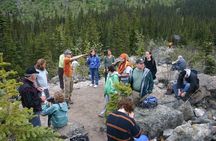 Laughton Glacier Hike and White Pass Rail Adventure