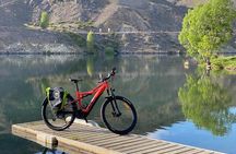 Lake Dunstan Discovery Day Tour by eBike with Shuttle