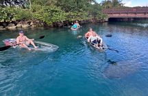 Clear Kayak Peanut Island Guided Tour Palm Beach Singer Island