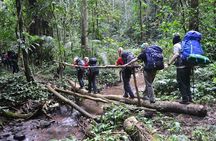 Nalan Trail and Khmu Tribe: 2 Days Trek in Nam Ha NPA